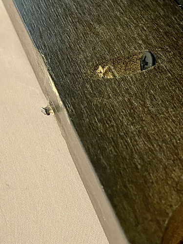 Стул Life фото покупателя 4